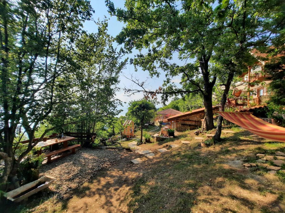 Robinson Sunset Guest House 라가딘 외부 사진