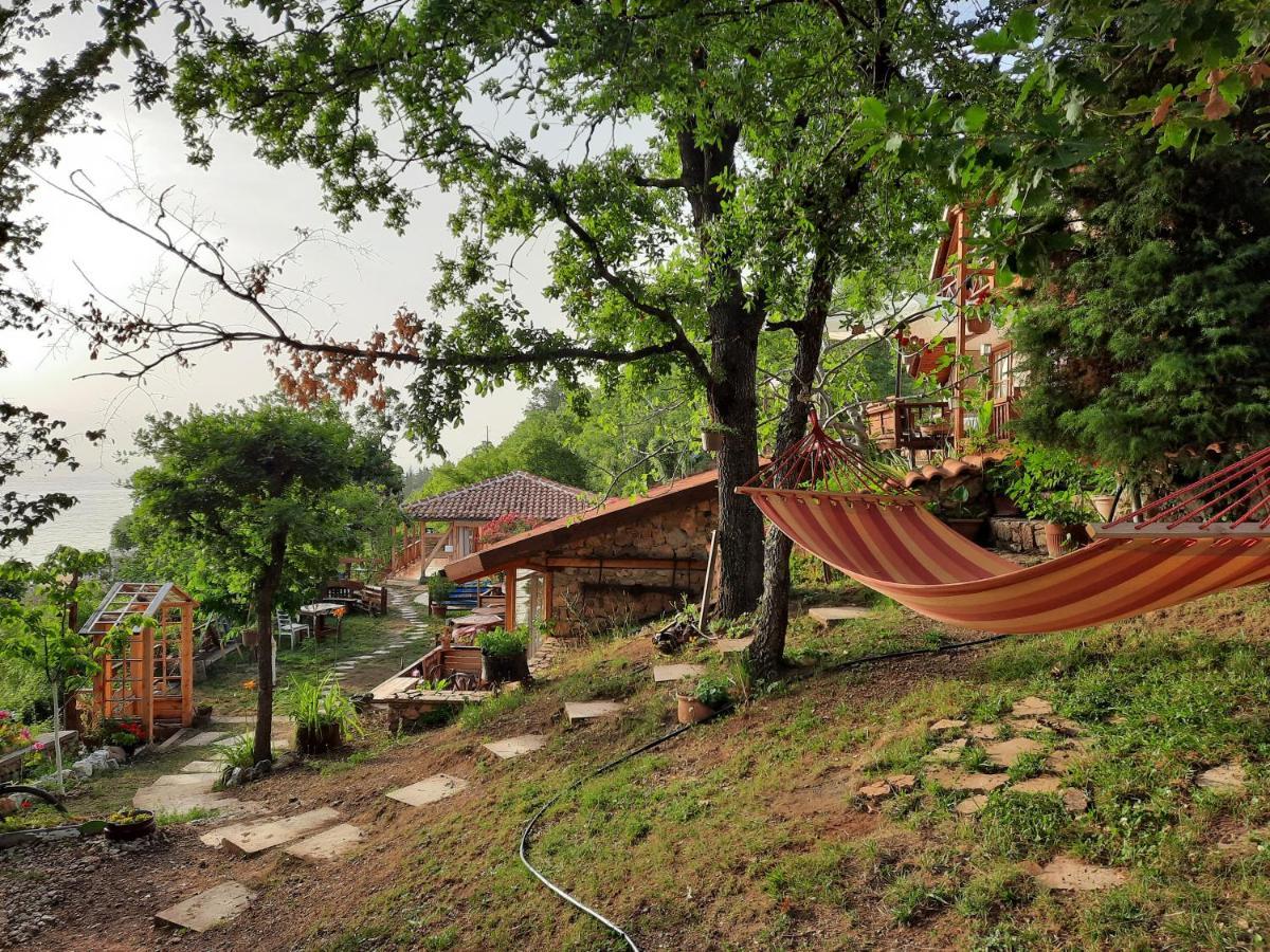 Robinson Sunset Guest House 라가딘 외부 사진